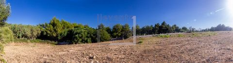 RUSTIC PLOT WITH PROJECT This project, with a very modern approach and clean lines, has been designed to integrate into the territory, respecting the architectural principles that make it very advanced bioclimatically, since it has been specially des...