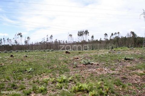 Property ID: ZMPT539588 Forest Land next to the A25 and Albergaria-a-velha, with great potential for appreciation. With 44600 m2, near the main communication routes, in the Parish of Fontainhas in Albergaria-a-Velha, it will benefit from the creation...