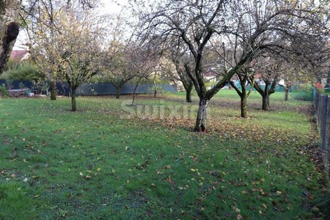 Ref 67389GM: Construction opportunity in Allériot! With an area of 1176m² and located on the Saône side, this land offers a peaceful and charming setting for the construction of your future home. Enjoy the pleasant banks of the Saône, the restaurants...