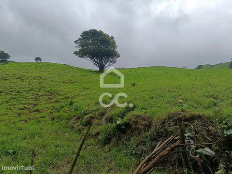 Land with 25,092.00 m2 for Pasture Support Warehouse Accessibility Sea and Mountain Views Lomba da Fazenda is a Portuguese parish in the municipality of Nordeste, with an area of 14.83 km² and 844 inhabitants (2011). Its population density is 56.9 in...