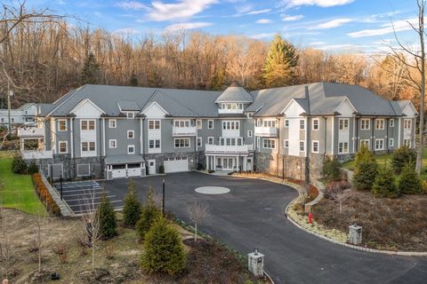The Byram offers one-level living with a blend of luxury, comfort, attention to detail in its design and amenities for an upscale living experience in Armonk. As you enter, you're greeted by a spacious and meticulously curated living area adorned wit...