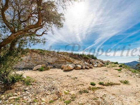 Rustic plot of app 17.000 sqm in Canillas de Albaida. Water from a water share included.