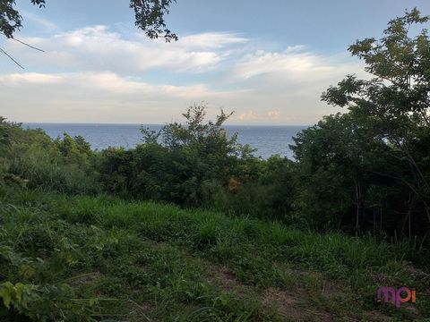 MPI IMMO offers you this beautiful plot of land with a surface area of 5453 m2 with sea view close to amenities, the village, schools and college and the beach. The networks are also close to the property. The plot is not fully buildable (see ONF pla...