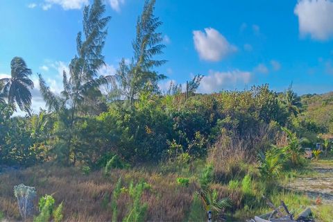 Embrace the coastal lifestyle with this exceptional 7,500 sq.ft single-family vacant land nestled in the peaceful enclave of Hope Hill on the enchanting island of Exuma. Situated on a gentle downward slope toward the azure sea, this prime lot offers ...