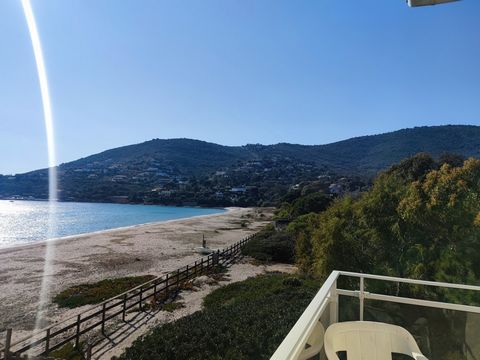 The Bon'Appart offers for sale a rare opportunity to acquire a waterfront hotel less than 30 minutes from Ajaccio. This property is built on a plot of land of approximately 2370 m2 in R+1 offering in the current configuration 25 rooms with terrace or...
