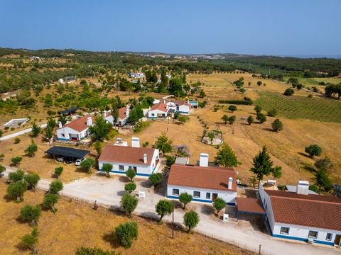 Come live in the tranquility of the countryside away from the confusion of the city. Ideal for a few quiet days. In a recent construction of 2020, constituted as a local accommodation unit. The house develops on one floor. Consisting of 3 suites. 1 s...