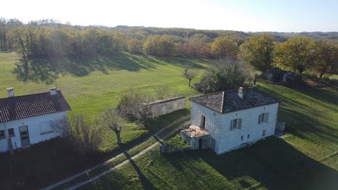 Set of two restored houses plus a barn. Beautiful environment. Approximately 4 ha of land. Located in the countryside with no neighbours, 10 minutes from shops. A first restored stone house with terrace: A living room of 48 m2 with kitchenette and lo...