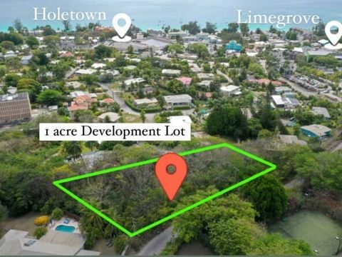 Welcome to a developer’s dream property, located in the highly sought-after Holetown on the picturesque west coast of Barbados. This expansive plot spans just over one acre, (44,130 SF) making it a perfect canvas for development. Conveniently situate...