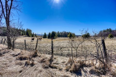 30 acres of land partly wooded with mature trees and partly meadow. It is located on the point between Highway 105 and Kealy Road. There is 800 meters of frontage on the 105 and easy access by car. A second access via Kealy Road is present. The terra...