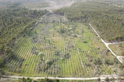 **Agricultural Land in Almeirim Farms for Sale** We present an incredible investment opportunity in an agricultural land located in Fazendas de Almeirim, with a generous extension of 28,600 m². This is the perfect terrain to increase your opportunity...