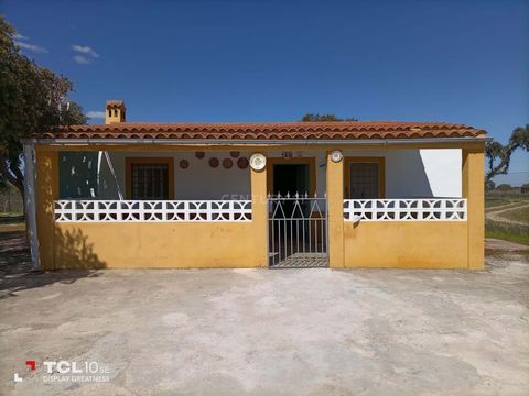 DO YOU WANT TO LIVE IN THE COUNTRYSIDE? Magnificent plot 20 Km from Cáceres, WITH ALL THE COMFORTS OF THE CITY. Plot in private urbanization, surrounded by several country houses. Great family atmosphere. A few meters from the Badajoz road and with a...