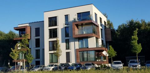 The apartment is on the 5th floor of a beautiful apartment building directly at Volkspark Potsdam. Tram & bus are 3 minutes walk. removed. It takes about 15 minutes by train to Potsdam main station. E-scooters are also available near the house. A par...