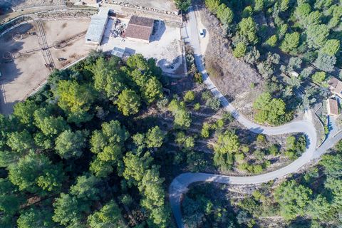 Se ofrece esta parcela rústica en el pintoresco Valle de Jalón, conocido por su belleza natural y su encanto rural en la provincia de Alicante. Las coordenadas exactas son 38°43'15.9