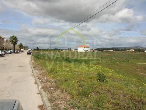 Real Estate Development Potential in a Prime Location! Discover this unique investment opportunity in Gambelas, Algarve, with this high potential land. With a total area of 15,150m2 completely flat, this property offers an unparalleled opportunity fo...