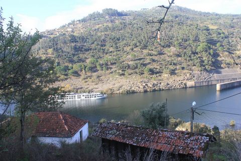 A vendre un terrain rustique et un terrain urbain Surplombant le barrage de Carrapatelo Situé à environ 300m du fleuve Douro Pour plus d’informations je suis à votre disposition. Marco Gomes C21 Maxis 967 186 705 ... https:// https://