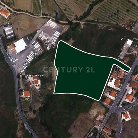 I present you this rustic land with 15320.00m2, with construction feasibility, unobstructed view, 5 minutes from the center of the village of Arruda dos Vinhos and 30 minutes from Lisbon. Town and council headquarters, Arruda dos Vinhos is the center...