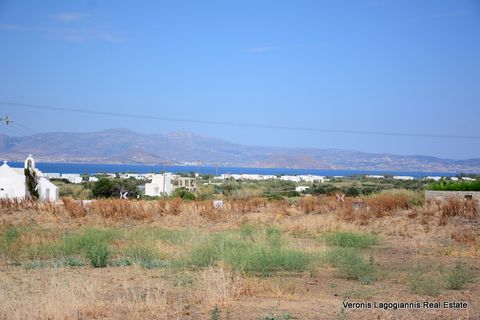 Plaka Naxos, an agricultural land of 4.041 m2, with a building permit, is available for sale. The license that has been issued concerns the construction of 2 luxury houses with a total area of 276 m2 and 2 swimming pools. The land located just 800 me...