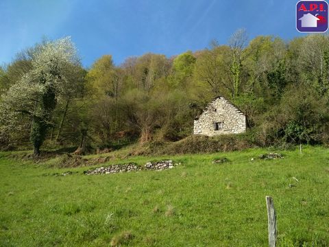IN THE FULL NATURE!! In the heart of Couserans on the heights of the village of ERCE, this pretty barn without CU and accessible by a 1 km track, is an ideal place to recharge your batteries in the countryside. Its view, its land of approximately 180...