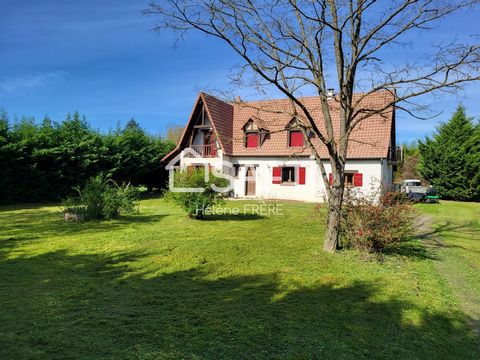 Located in Romorantin-Lanthenay, this house benefits from a peaceful environment in the countryside, close to services and amenities, thus offering an ideal living environment for families. Outside, this property offers a lean-to, a spacious terrace ...