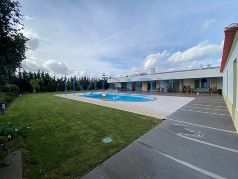 Farm with an area of 19,800 m2. The main house with about 255.03 m2 consists of Two (2) Suites and Two (2) bedrooms, One (1) Bathroom, Office, Dining and Living Room, Kitchen equipped with Smeg, Laundry, Heated Pool surrounded by Garden, Pool Support...