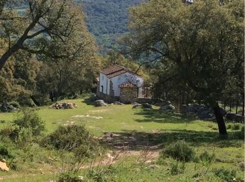 Rustic finca on a remote location. Ideal for nature lovers, family and a very peaceful location with modern comfort. The house is self-sustainable: Solar panels + wind-mill +battery for electricity. Own well for water. Wireless internet connection. T...