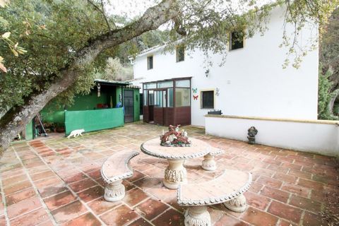 This 5 bedroom Finca with open views is located in Las Piletas on the outskirts of Ronda. The original building dates back to the 16th century and many features still remain although the current owners have carried out substantial renovations over th...