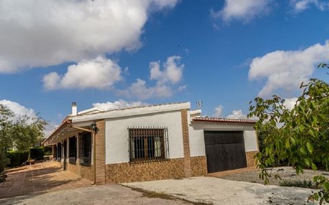 Large estate with 2 independent houses. On the outskirts of the municipality of Alora, close to Cartama Estacion, is this large estate of 60,000 m2. On this estate there are 2 houses, large garage, wine cellar (also for the olive oil) to make your ow...