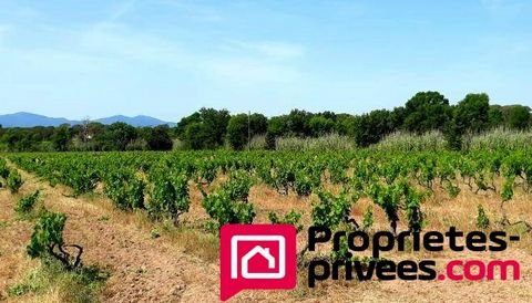 Aux portes de Vidauban, et dans un cadre verdoyant, votre agence Arthurimmo.Com Vidauban vous propose cette propriété viticole de 6 hectares comprenant des vignoles 