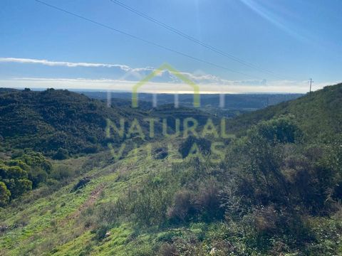 Anwesen mit einzigartigem Meer- und Bergblick, 10 Minuten von Tavira entfernt. Rustikales Grundstück mit 5.700 m² in Tavira, in einer Lage, die einen unvergleichlichen Panoramablick auf das Meer und die Berge bietet. Ideal für diejenigen, die eine Ve...