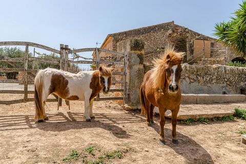 Herzlich willkommen auf dem Finca-Bauernhof Son Sala mit Gemeinschaftspool und Garten nahe Campos. Der Agroturismo Son Sala ist ein kleines Paradies im südosten der Sonneninsel Mallorca, 21 km vom Traumstrand Es Trenc entfernt. Sowohl in Campos als a...