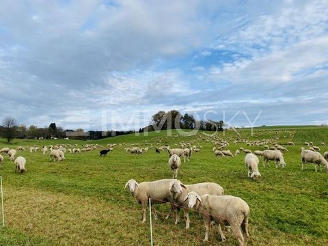 Schreiten Sie ein in die zauberhafte Ortschaft Auerbach bei Horgau, wo ein einzigartiges Grundstück darauf wartet, von Ihnen entdeckt zu werden. In der Gemeinde Horgau erwartet Sie nicht nur eine erstklassige Lebensqualität, sondern auch eine unberüh...