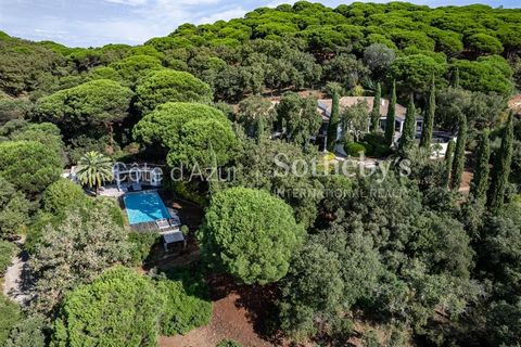 Vast renovated and contemporary property of approximately 400 sq.m on its garden of more than one hectare, with panoramic views of sea, sky and land, facing Gigaro Bay in La Croix Valmer. 7 en-suite bedrooms, double living room, dining room and adjoi...