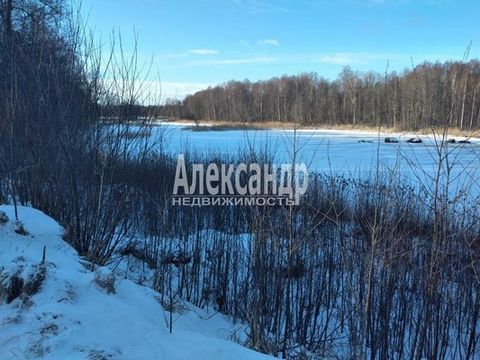 1696762 Приозерский район п. Ромашки. ПЕРВАЯ ЛИНИЯ РЕКИ ВУОКСА-ВИРТА!!! Продается земельный участок с/х назначения для сельскохозяйственного производства, площадь - 3 400 кв.метра ( 34 сотки ). По факту участок значительно больше. На участке находитс...