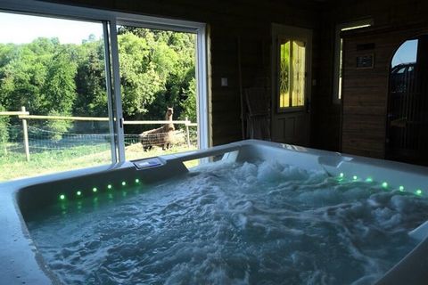 Uw gastheer: Liefhebbers van de natuur, prachtige landschappen en dieren, we vestigden ons in een oude boerderij met uitzicht op de stad Roanne met uitzicht op de Mont du Lyonnais. Het is dan ook met veel plezier dat wij onze bezoekers al vele jaren ...