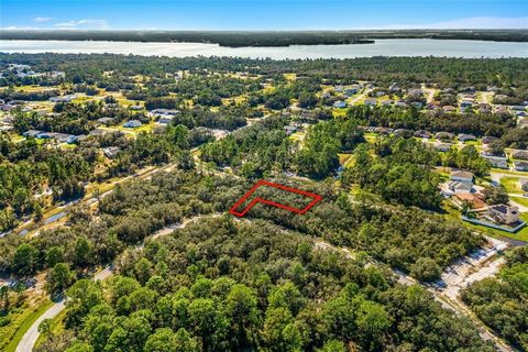 Discover your perfect blank slate in the heart of Poinciana—a spacious 0.34-acre lot ready for you to build the home of your dreams! This property offers an incredible opportunity to create your peaceful retreat, surrounded by nature and tranquility....