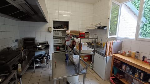 photo no. 6