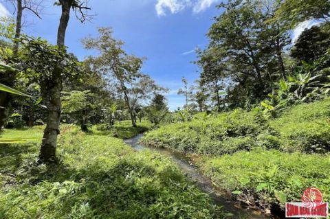 Over 3 Rai (3-1-46.6) of land for sale with a rubber plantation and a natural creek. Available on a chanote title, the plot width and length are approximately 45 meters and 124 meters. This land plot is 80% gradually sloping and flat about 20%. The g...