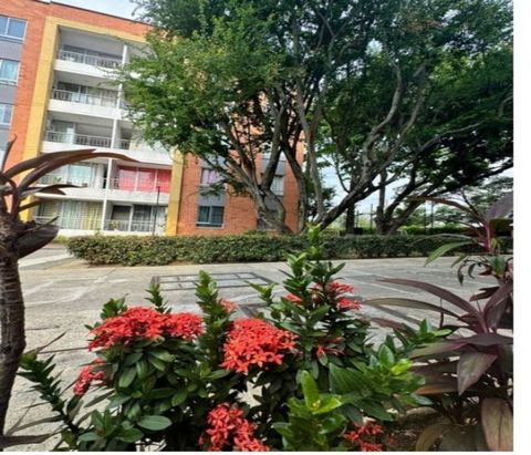 Venta de hermoso apartamento en el sur de Cali, barrio Valle del Lili con parqueadero propio. Este hermoso apartamento de sesenta y cuatro metros cuadrados. consta de sala comedor, cocina integral, zona de oficios, baño social, tres habitaciones, la ...