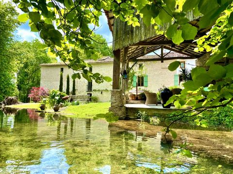 Breathtaking river views from this very well-presented former historic water mill. Located along the Boutonne river, on a calm lane, and just a short walk from market town of Chef Boutonne with its Chateaux, shops bars and restaurants. Enjoy the Lumi...