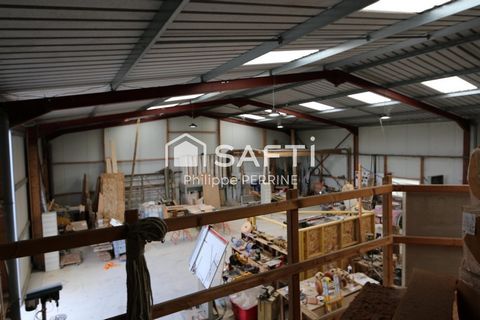 photo no. 2