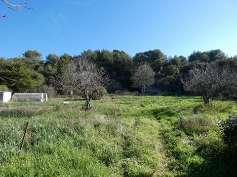 photo no. 2