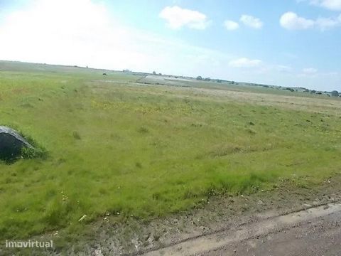 Agricultural land in the area of Lake Alqueva with 5.15ha and feasibility of construction. This land beyond the agricultural potential, as it has more than 4ha has feasibility of construction, is located about 900m from the riverside village of S. Ma...