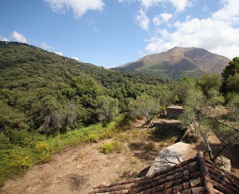 Finca - Cortijo, Casares, Costa del Sol. 10 Bedrooms, 5 Bathrooms, Built 2000 m², Terrace 300 m², Garden/Plot 72000 m². Setting : Country, Mountain Pueblo. Orientation : North East, South East. Condition : Good, Renovation Required. Pool : Private. C...