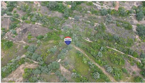 Grundstück zu verkaufen in Vale de Carvalho, São Brás de Alportel Das Grundstück befindet sich in Vale de Carvalho, São Brás de Alportel. Anbauart: Arvense, das Land hat derzeit 1 Johannisbrotbaum. Ausgezeichnete Gelegenheit, Obstbäume zu pflanzen un...