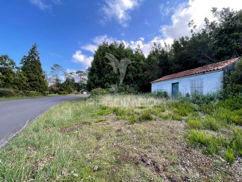 Terreno com 2904m2, situado em São Miguel Arcanjo, em São Roque do Pico. Com benfeitoria de uma Adega com cerca de 40m2, com 2 divisões e 1 wc, ainda contém pomar com diversas arvores de fruto e quintal. Situado em local calmo e 5 minutos da Vila de ...