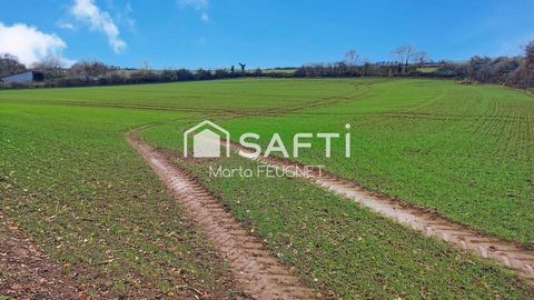 Terrain constructible de 12 700m², offrant la possibilité d'aménager jusqu'à 9 lots.