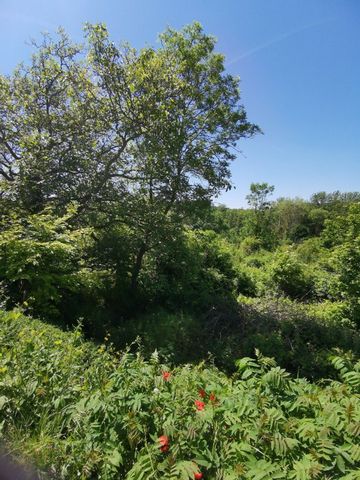 7' Gare Rer...Terrain Constructible