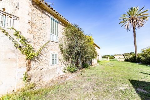 This beautiful property located on the outskirts of Moscari, is located in a very quiet area, between several cycle routes that connect the towns of Moscari, Selva, Campanet, at the foot of the Sierra de Tramuntana. The finca has easy access and is o...