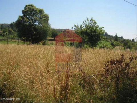 For sale Land with 800m2 located in national agricultural reserve; Good access.