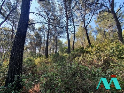 We offer a NON-CONSTRUCTIBLE land on a wooded natural area in the town of Beausset. This unfenced plot is a little more than one hectare of pine forest, has no buildings and is located on the heights of the Font des Pères. With a slope of about 16%, ...